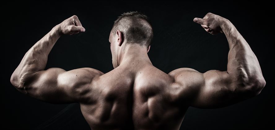 BLOG SERIES | Training Splits for Natural Bodybuilding